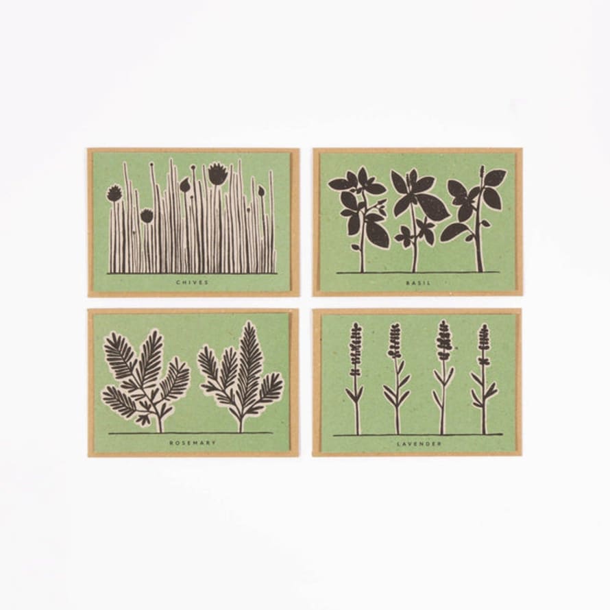 Studio Wald Herb Recipe Notecard Pack (x4)