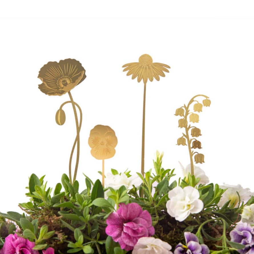 Another Studio  - Brass Blooms Garden - Botanical Garden Decoration