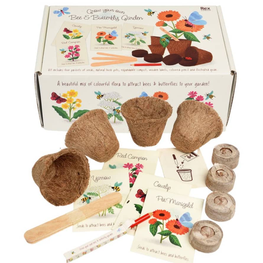Rex London Growing Kit Flowers For Bees And Butterflies