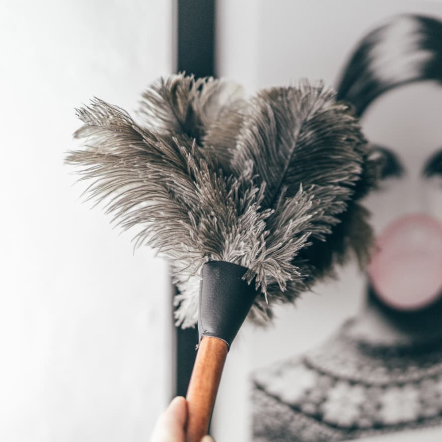 Redecker Black Ostrich Feather Duster with Wooden Handle 35cm