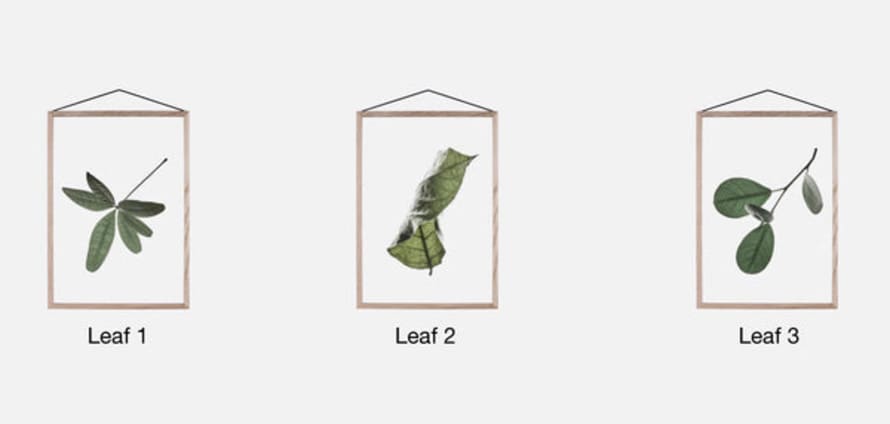 Moebe A5 Floating Leaf Print | Single 3 Designs