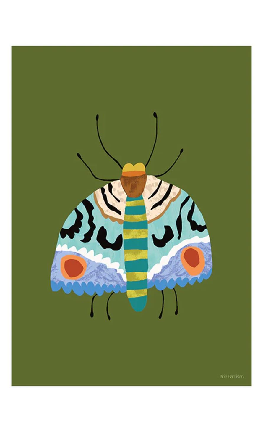 Brie Harrison  Moth A4 Art Print