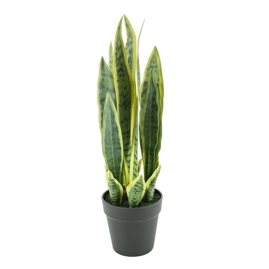 By-Boo Small Faux Sansevieria in Pot