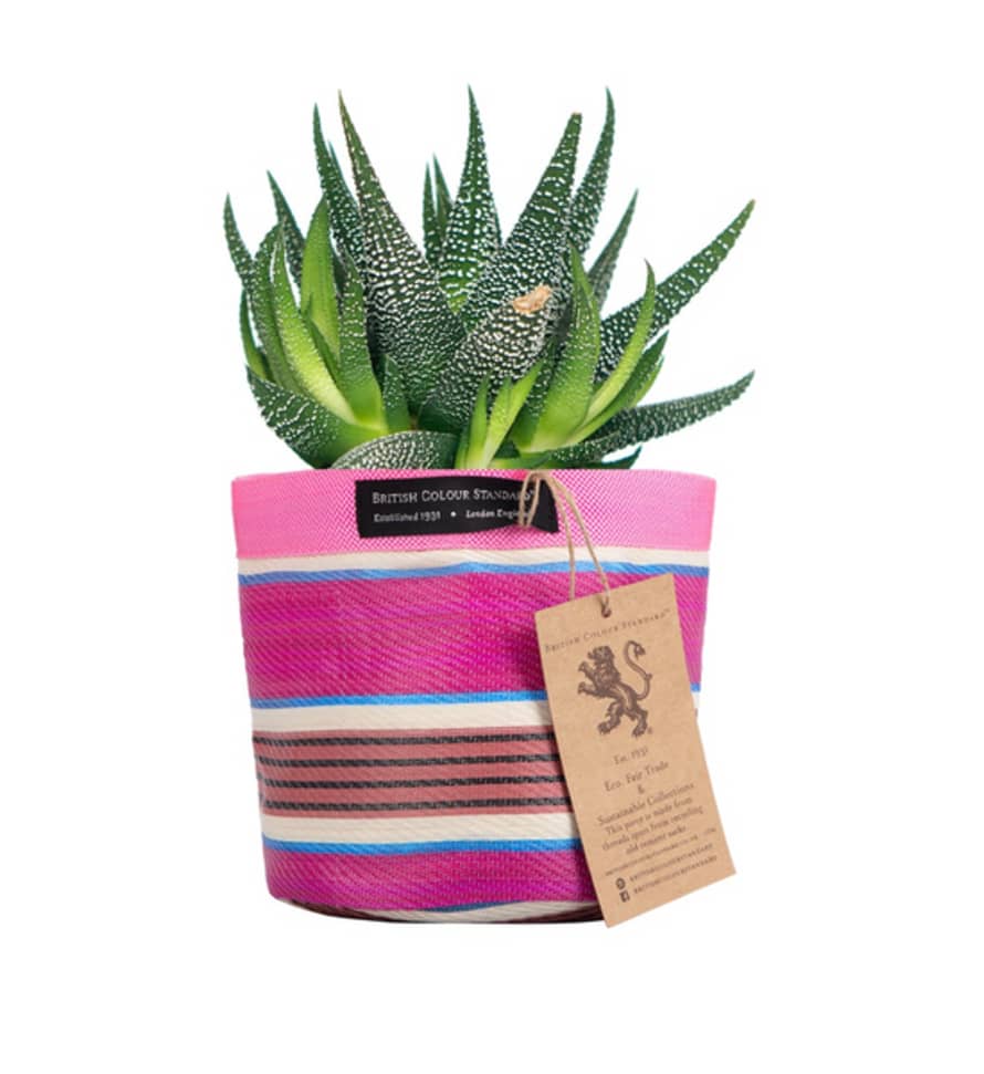 British Standard Eco Woven Plant Pot Cover In Neyron Pink, Pompadour & Pearl - Small