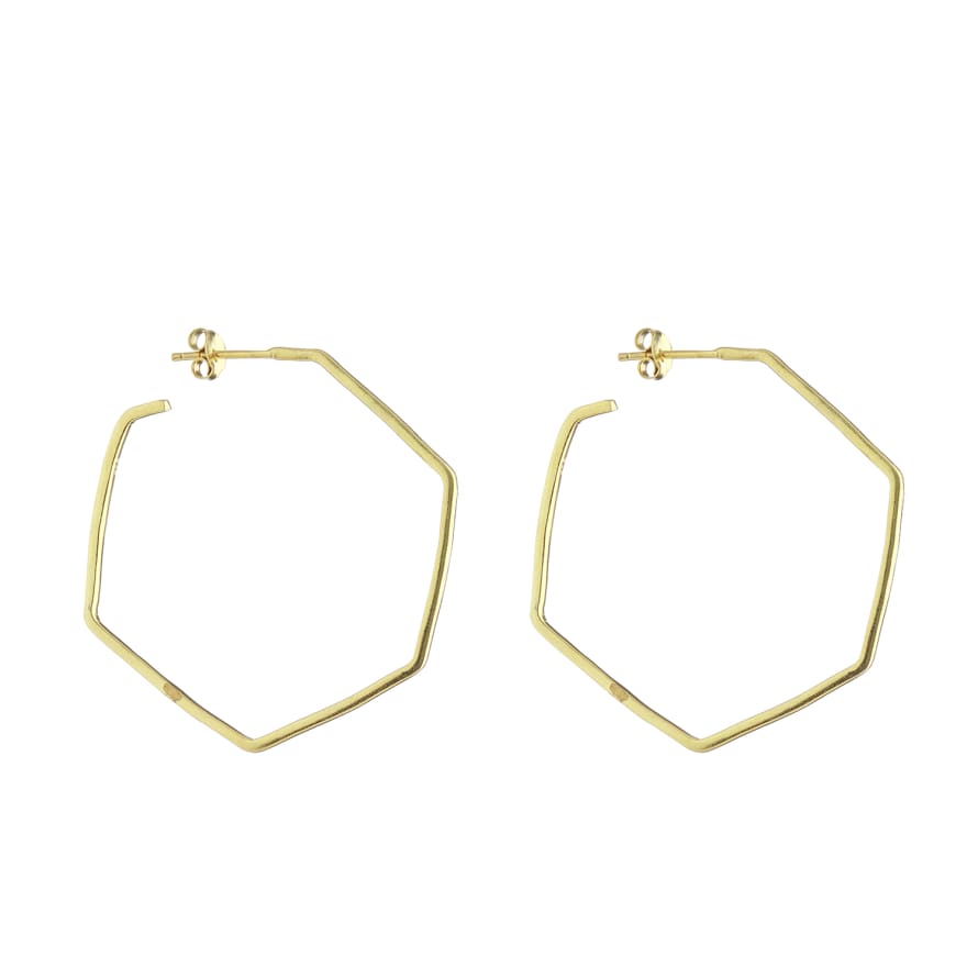 silver jewellery Gold Plated Hexagon Earrings 