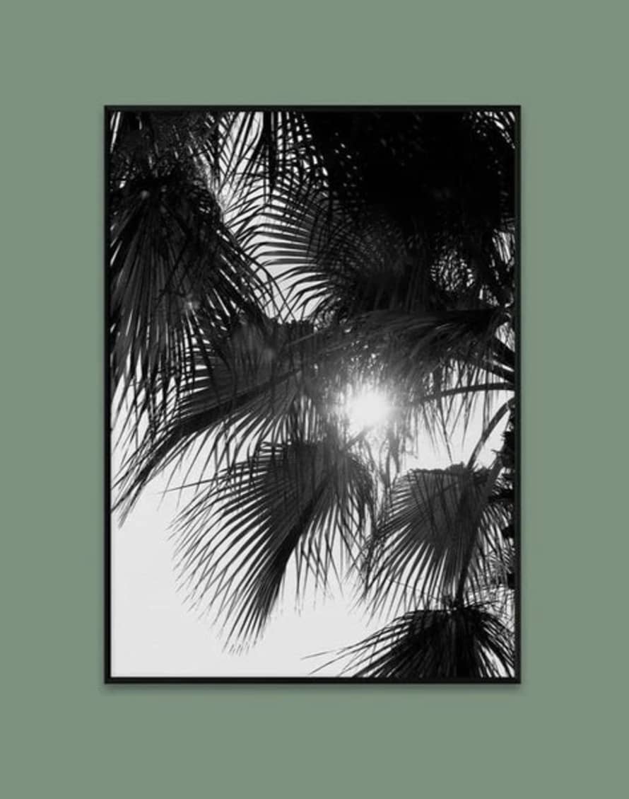Paper Collective Palm Trees Print