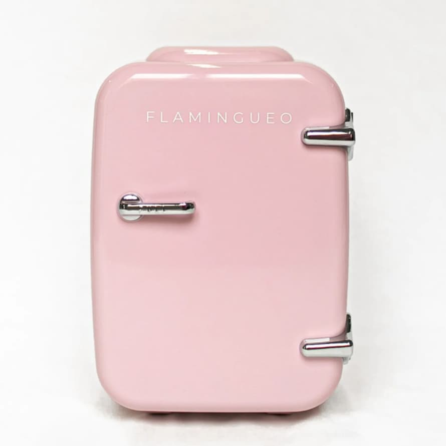 Flamingueo Mini Frigo - Réfrigérateur 10L, Petit Frigo 12V/220V