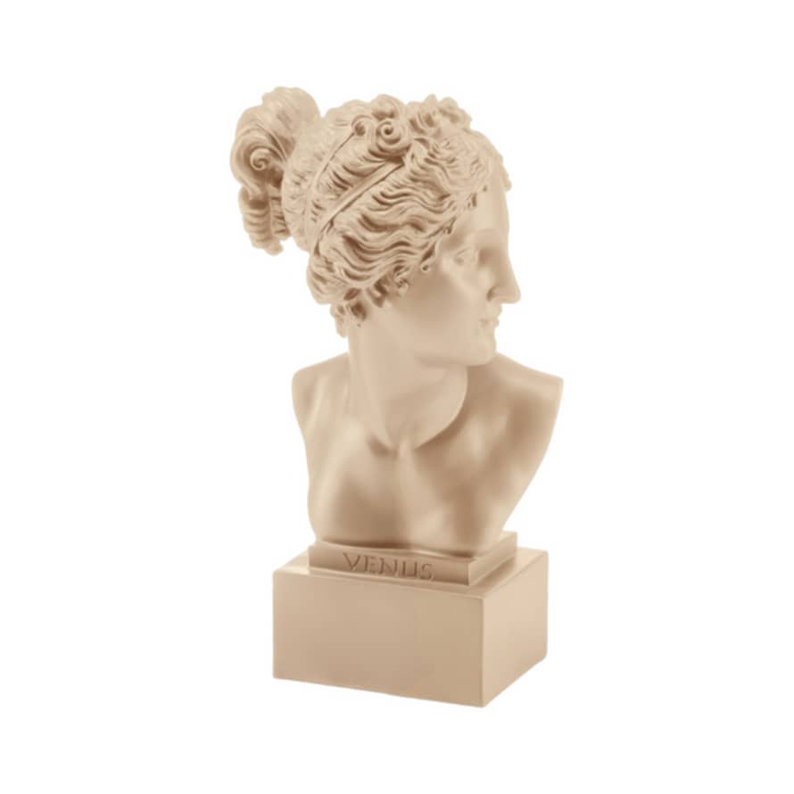 Palais Royal Busto Taupe Venus 18 Art 37487 