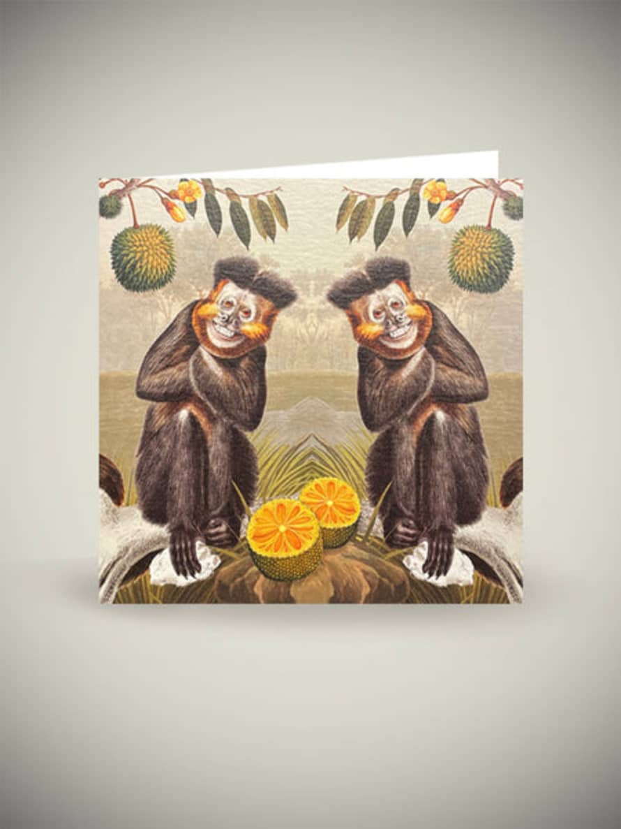 Museums & Galleries Tarjeta 'capuchin Monkey' - Natural History Museum