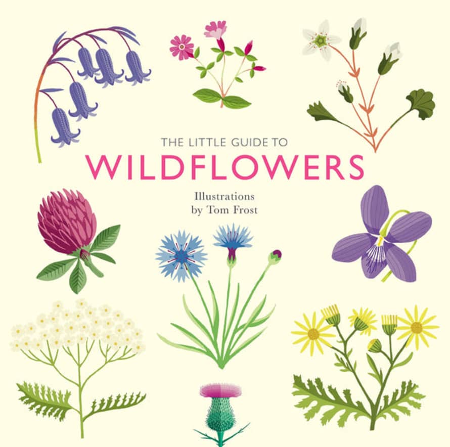 Tom Frost Little Guide To Wildflowers