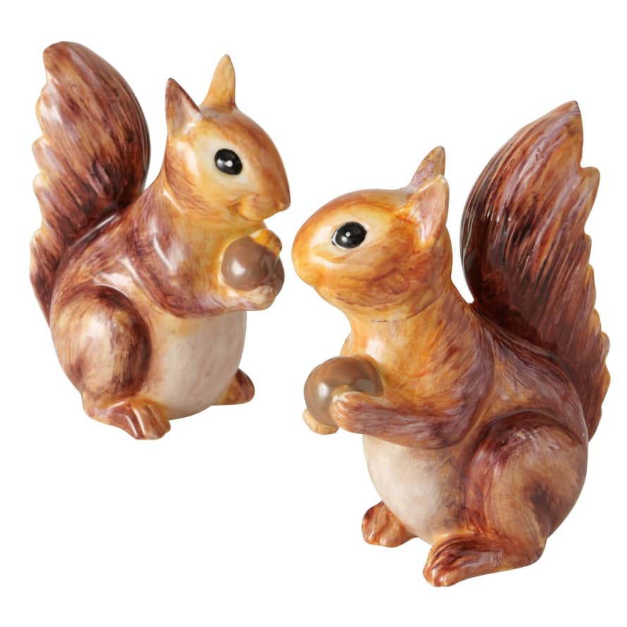 &Quirky Albert The Squirrel : Face On or Head To Side