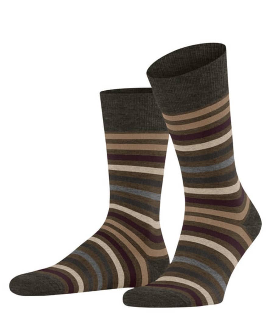 Falke Beech Tinted Stripe Socks