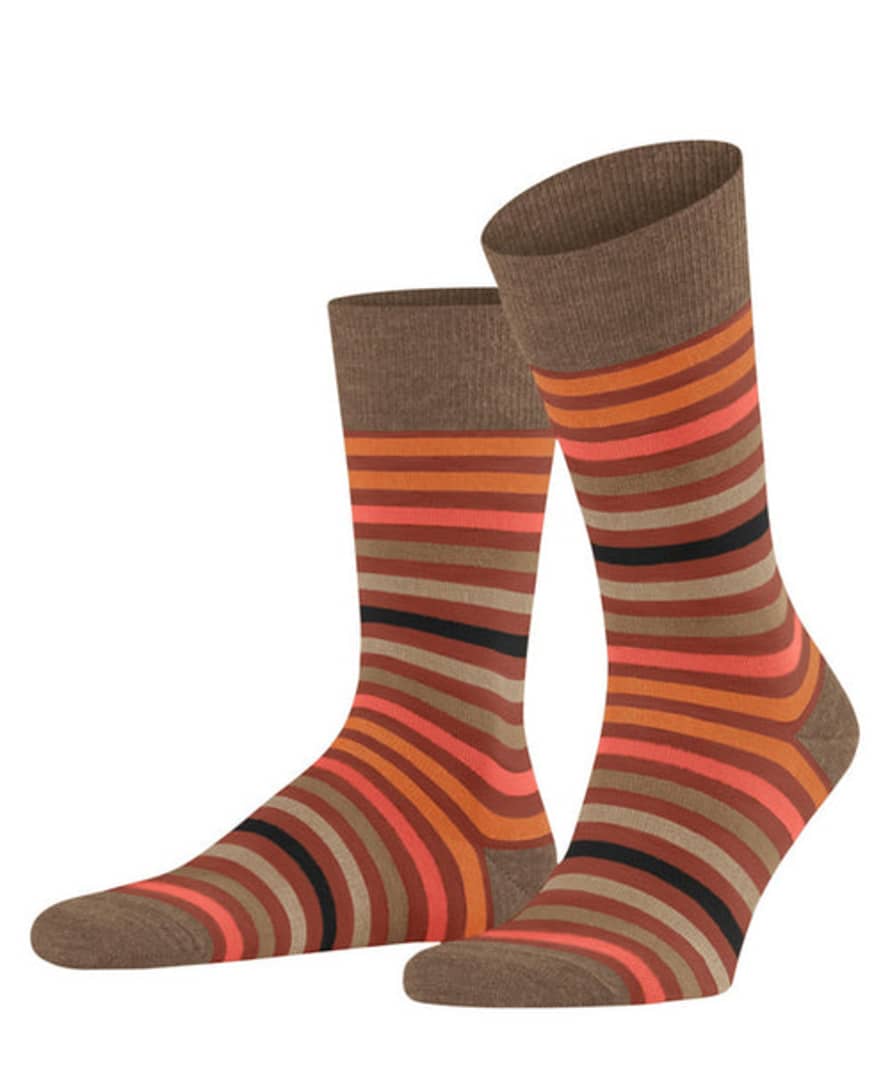 Falke Port Royal Tinted Stripe Socks