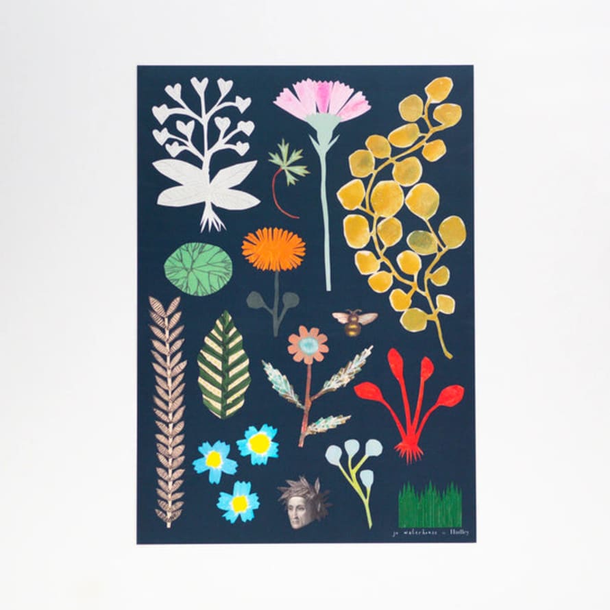 Hadley Cards Botanical Print