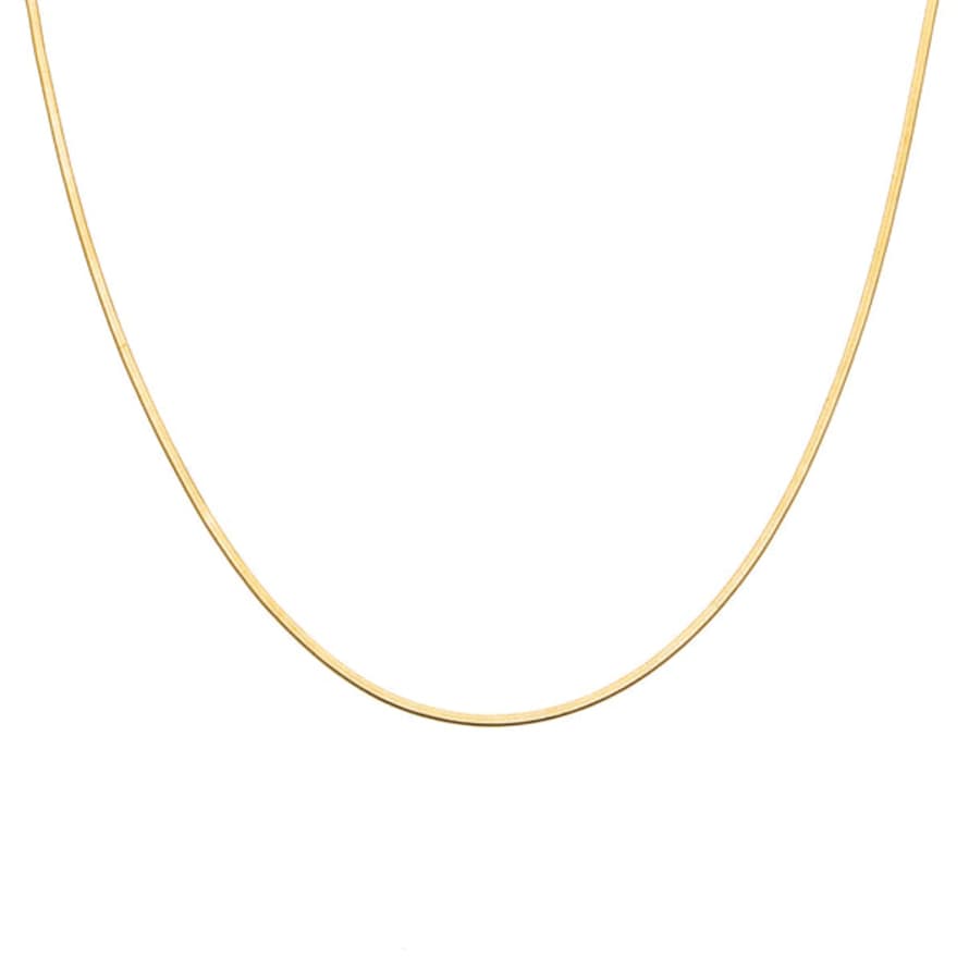 Lively Concept Store Minimalist Herringbone Necklace