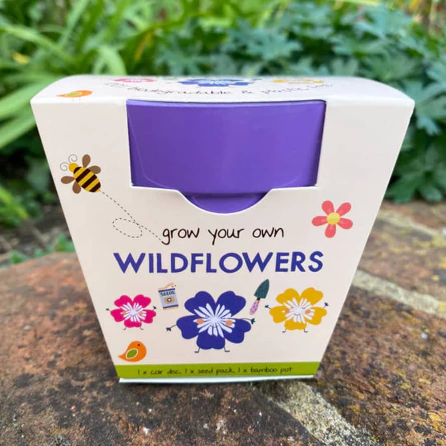 Gardening for Kids Wildflower Growing Kit