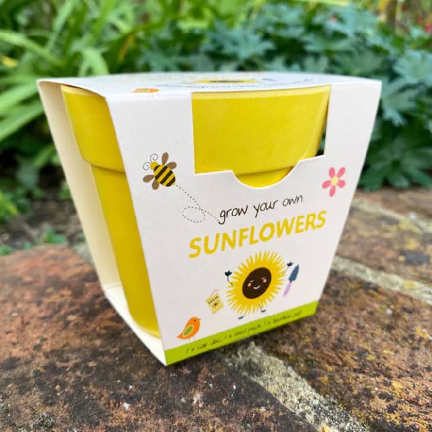 Gardening for Kids Sunflowers Growing Kit