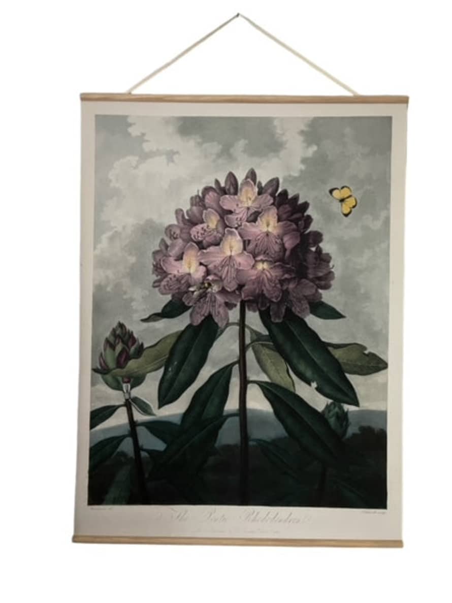 Maitri Canvas Wall Hanging - Pontic Rhododendron