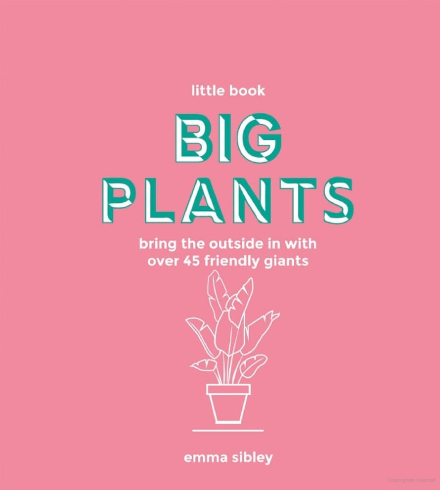 Quadrille Publishing Ltd Little Book Big Plants by Emma Sibley