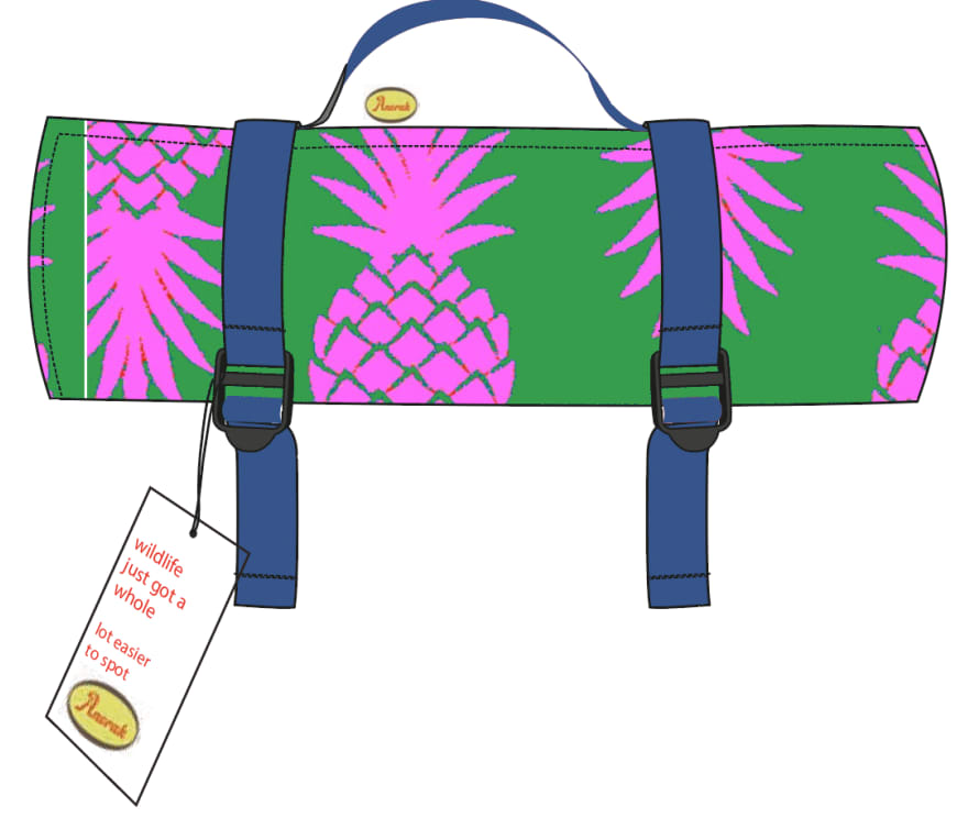 Anorak Green and Pink Pineapple Printed Picnic Blanket 