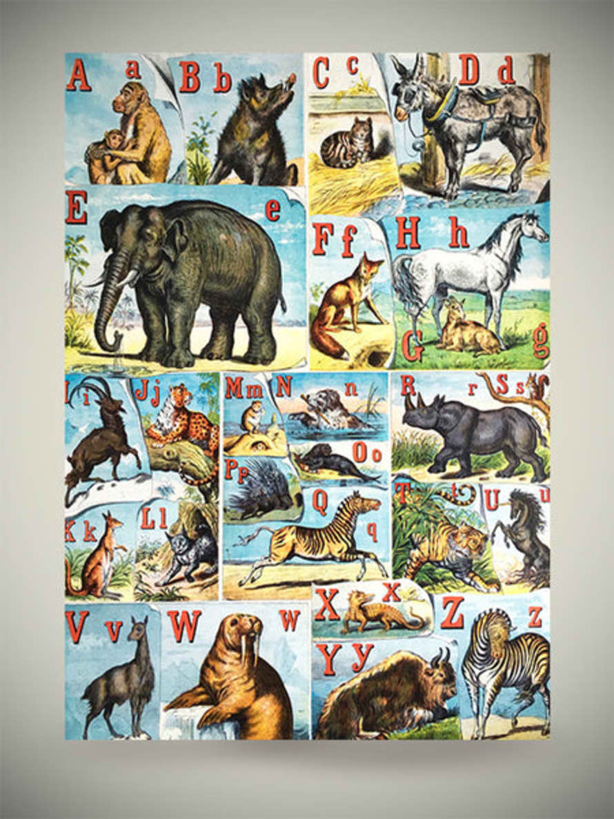 Museums & Galleries Papel Envoltorio 'alfabeto De Los Animales' - 70x50 Cm
