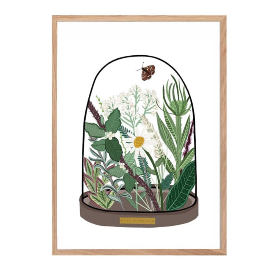 Bea Baranowska Hedgerow In Glass Bell Jar A3 Print