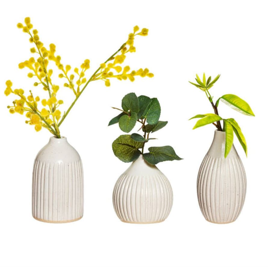 Sass & Belle  Vases White Speckled Glaze Set Of 3