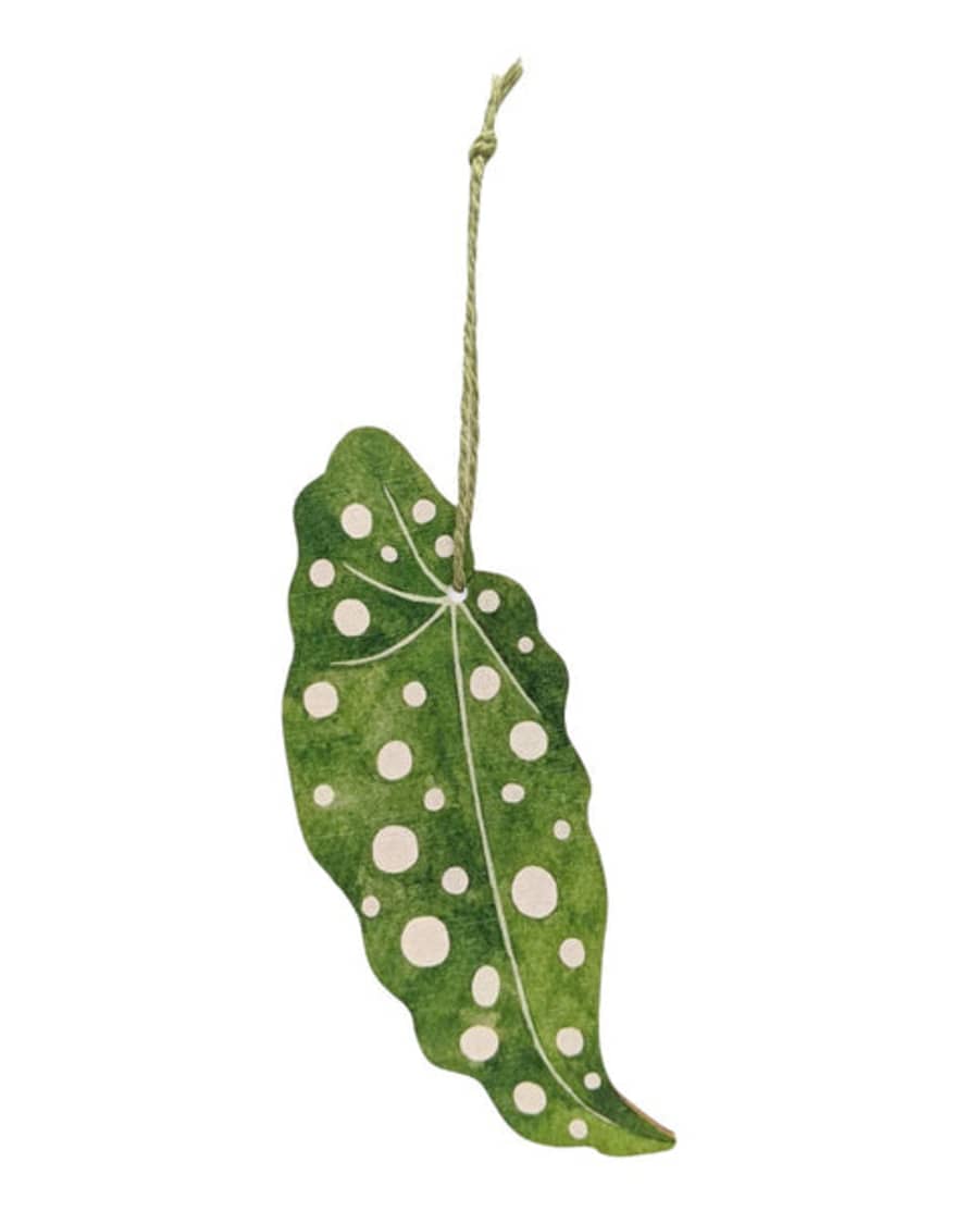 Katrina Sophia Wooden Birch Decorative Hanging Leaf Begonia