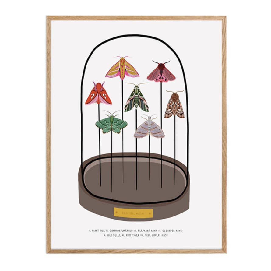 Bea Baranowska Moths Bell Dome Jar Print A3