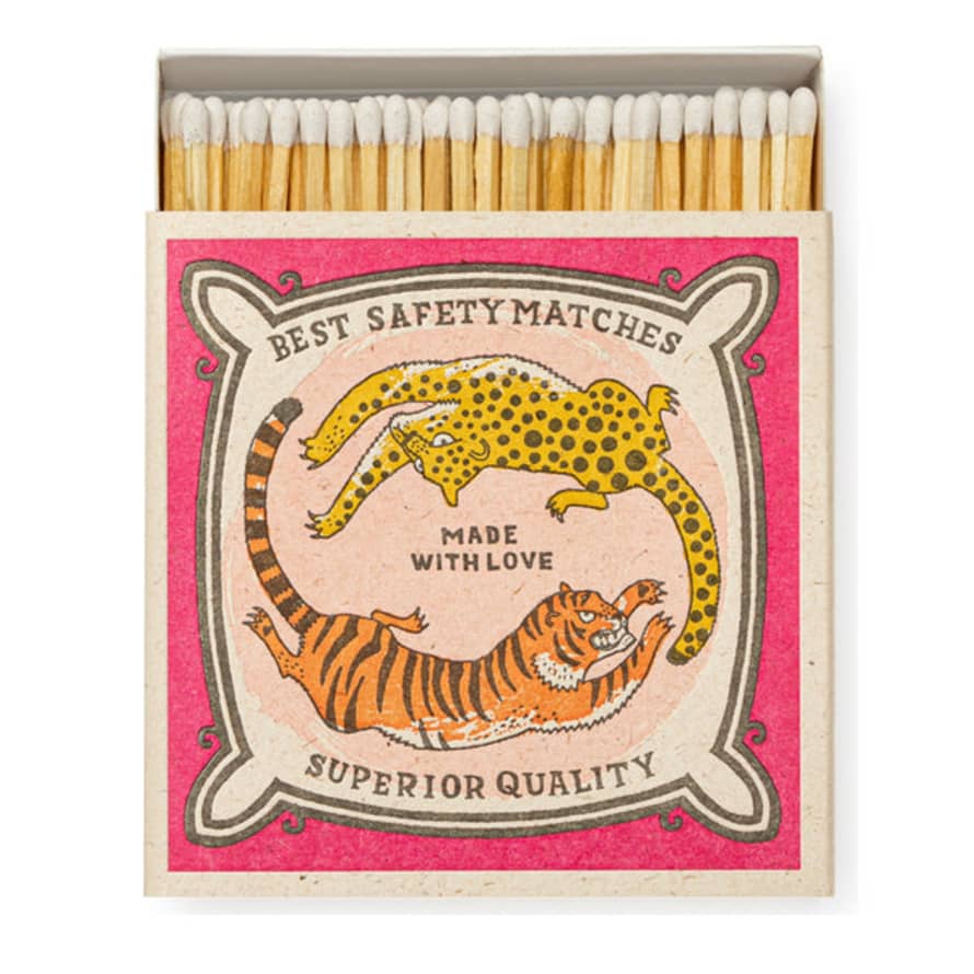 Archivist Boxed Matches Chasing Big Cats Charlotte Farmer