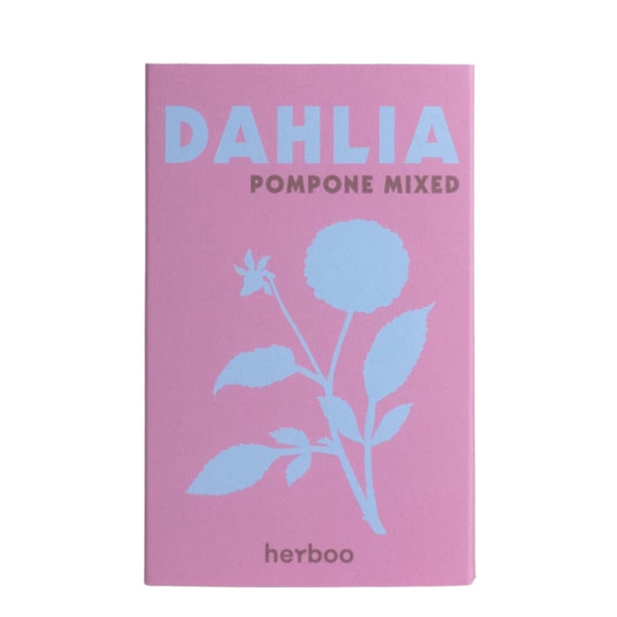 Herboo Dahlia Seeds Pompone Mixed