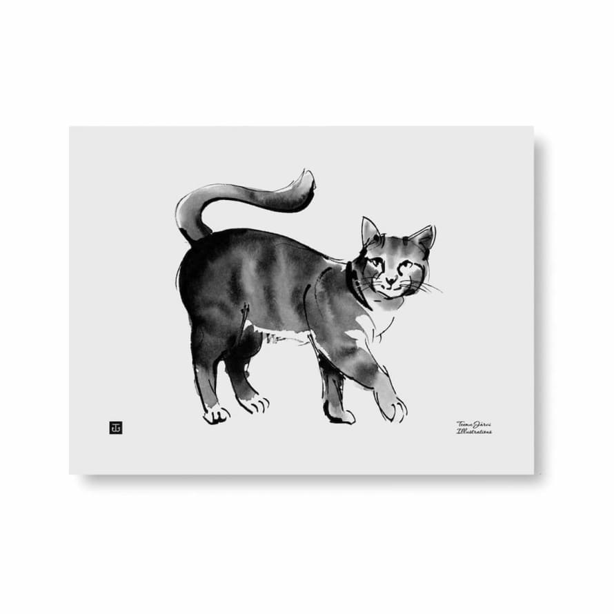 "TEEMU" Teemu Järvi - Kunstdruck - Poster - 40x30cm - Tierbilder