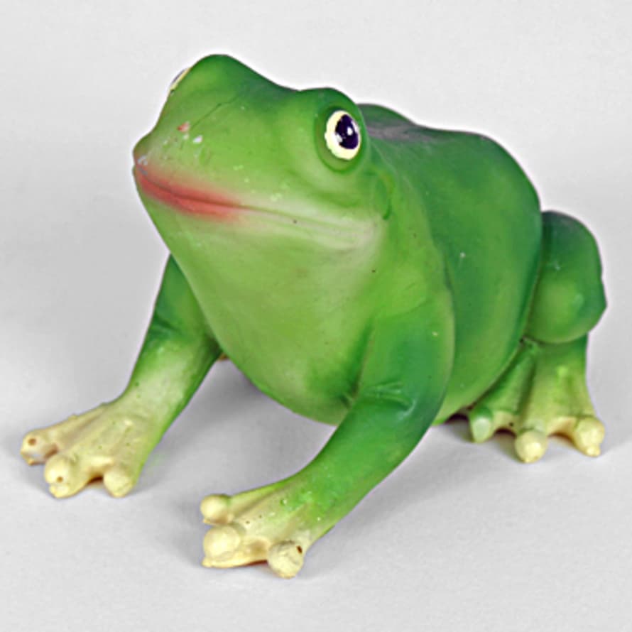 &Quirky Sitting Green Frog 
