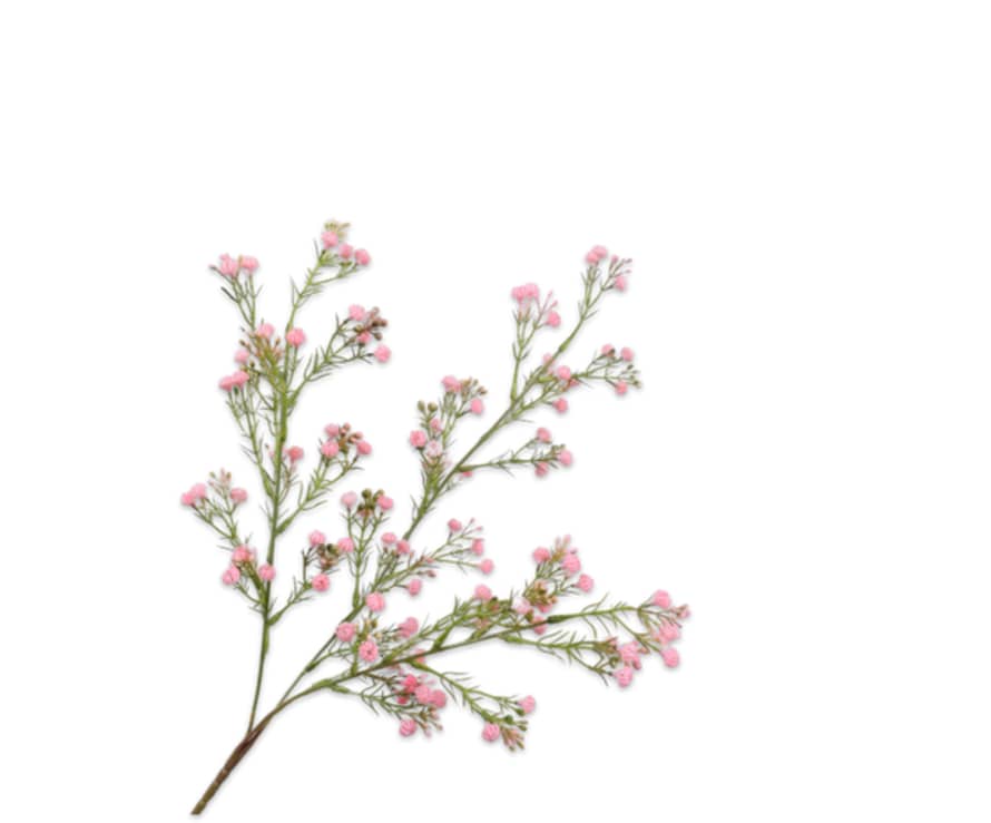 Silk-Ka Gypsophila Spray Pink 70cm