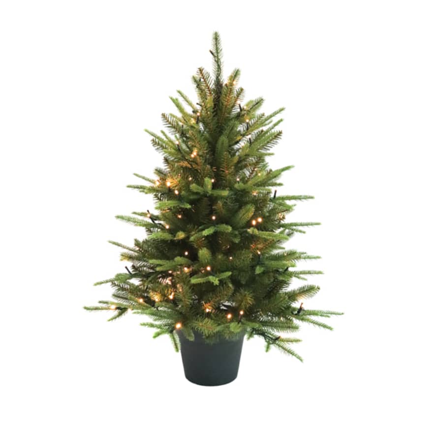 Floralsilk English Pine 3' Potted LED