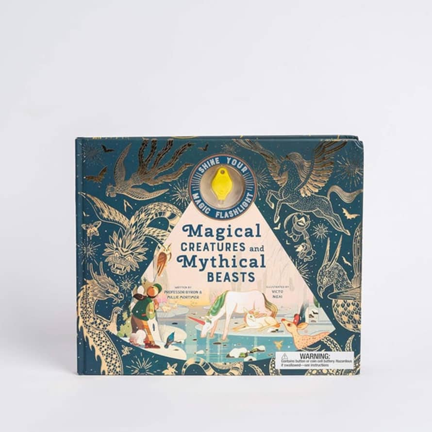 Beldi Maison Magical Creatures And Mythical Beasts: Includes Magic Torch Which Illuminates More Than 30 Magical Beasts: 1 (flash Your Magic Torch)
