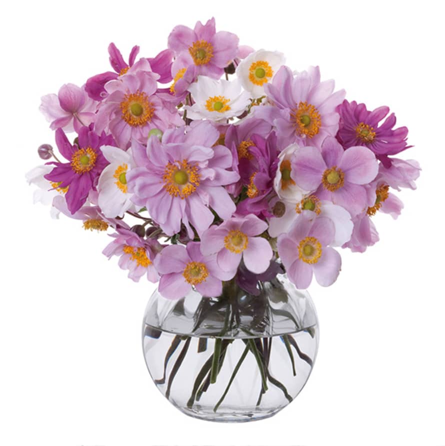 Dartington Crystal Florabundance Anemone Vase