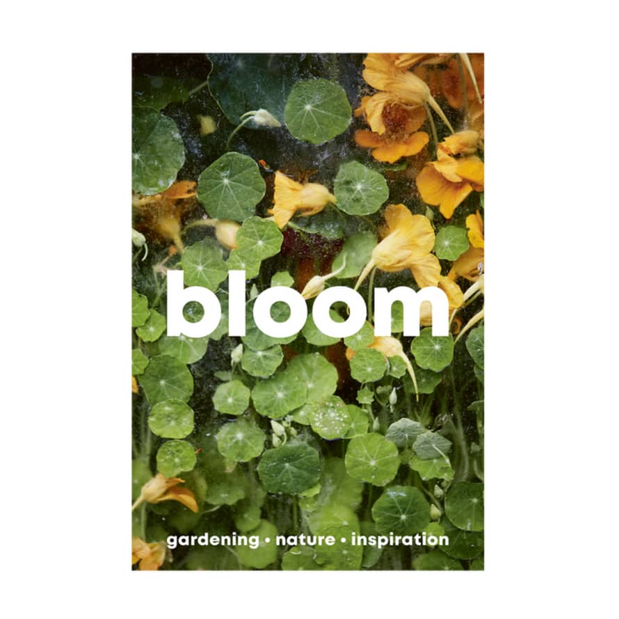 Issue 15 Bloom Magazine 