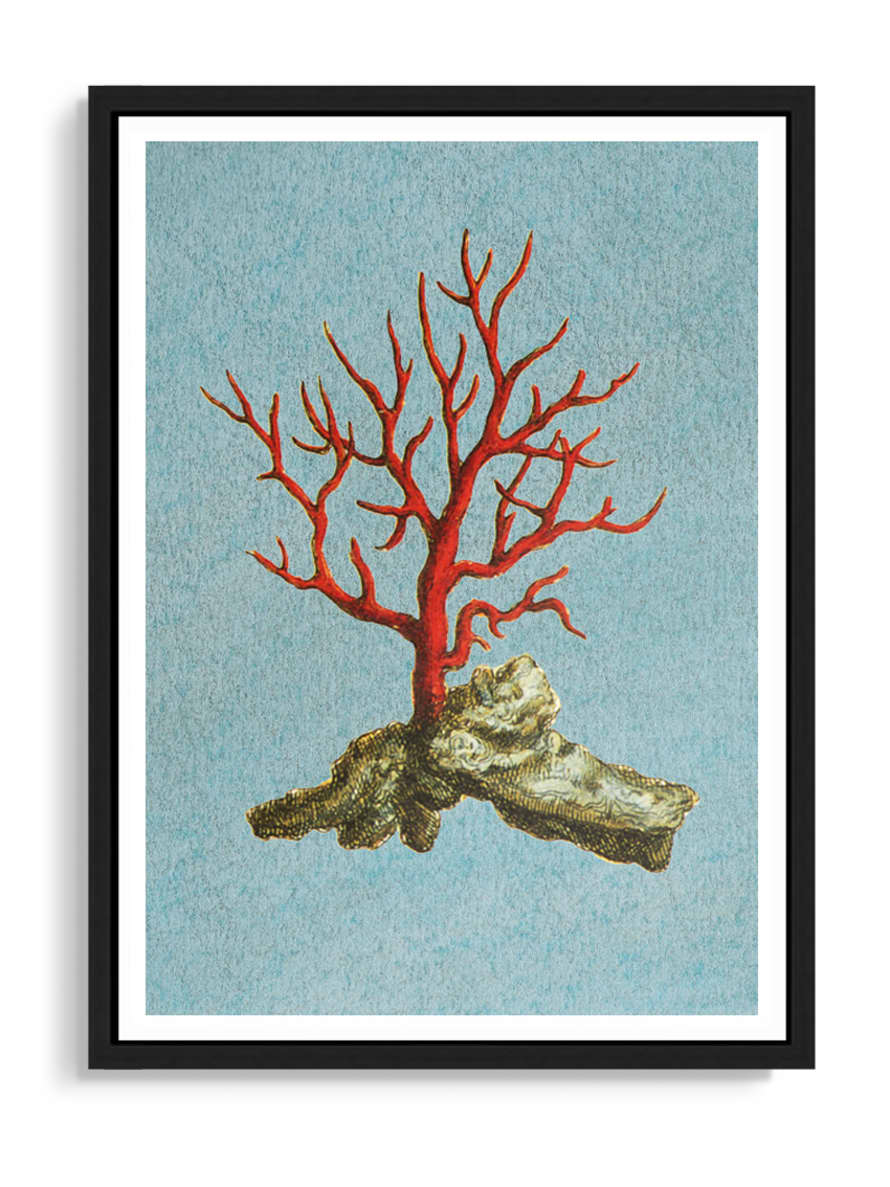 Tartan and Zebra Láminas Decorativas 'Corales Rojos' - 70x50cm / Diseño A