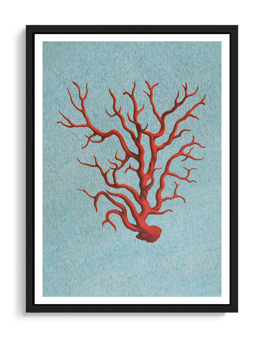 Tartan and Zebra Láminas Decorativas 'Corales Rojos' - 70x50cm / Diseño E