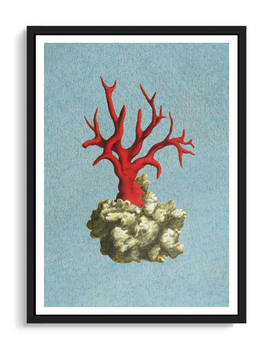 Tartan and Zebra Láminas Decorativas 'Corales Rojos' - 50x40cm / Diseño C