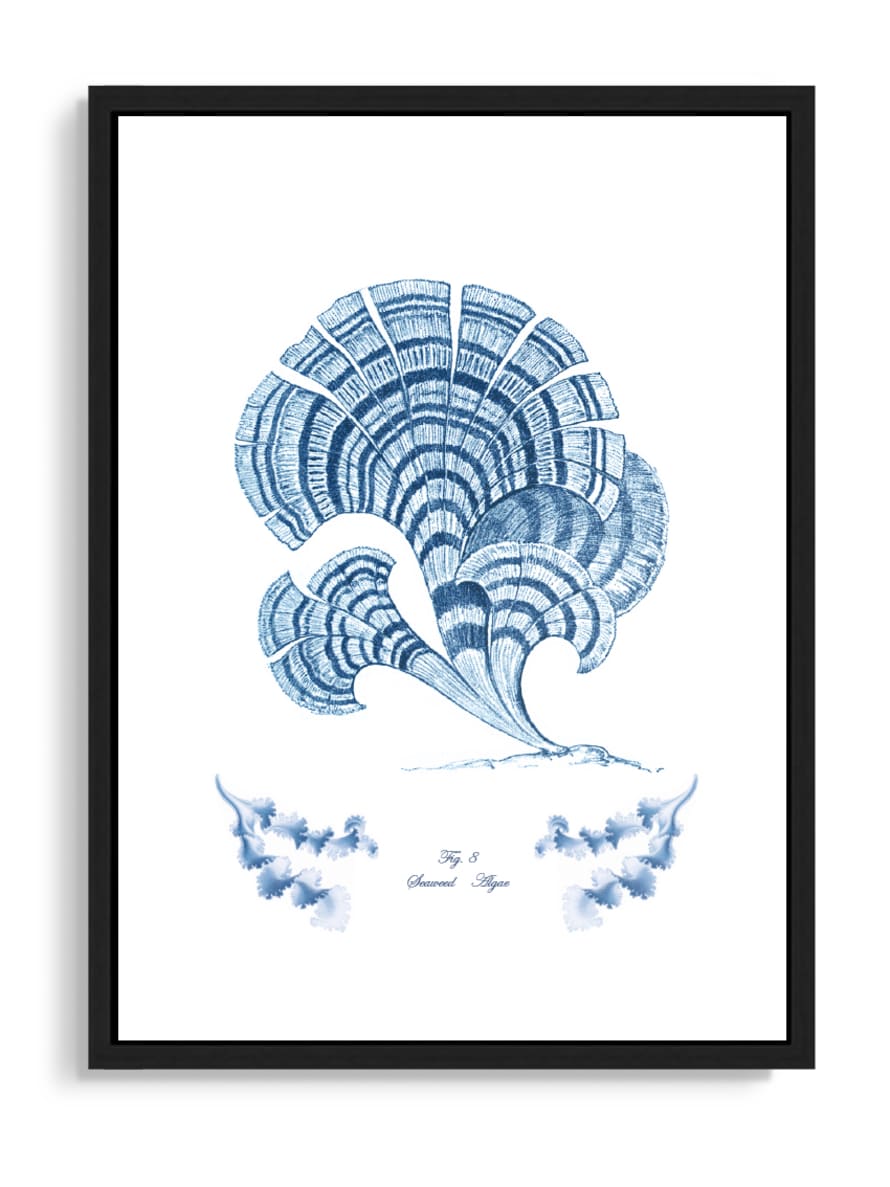 Tartan and Zebra Láminas Decorativas 'Corales Y Algas Azules' - 70x50cm / Diseño I
