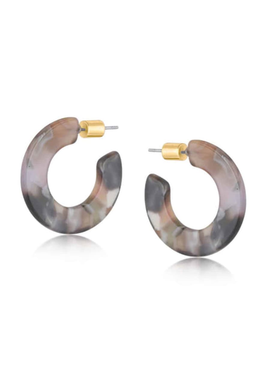 Big Metal Hortense Resin Hoop Earrings - Brown