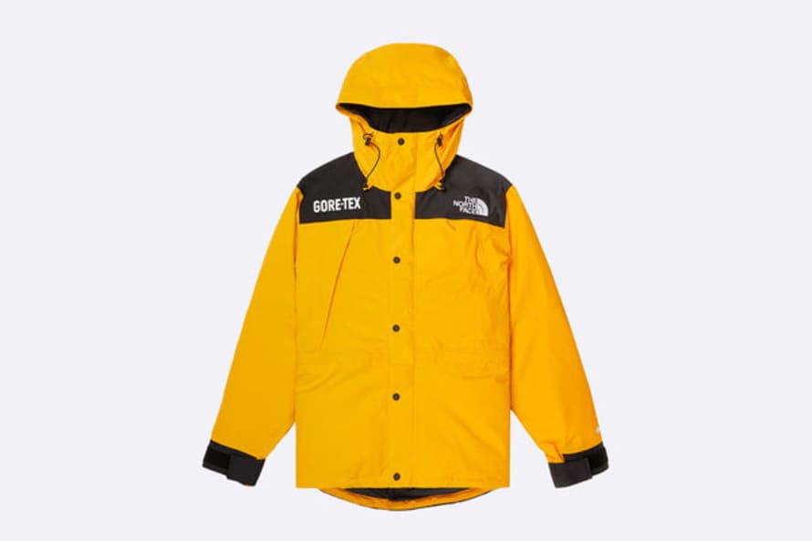 The North Face  Gore-Tex Mountain Guide Jacket