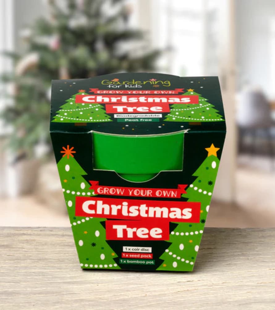 Gardening for Kids Christmas Tree Growing Kit