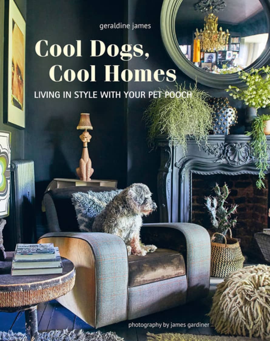 Bookspeed Cool Dogs, Cool Homes