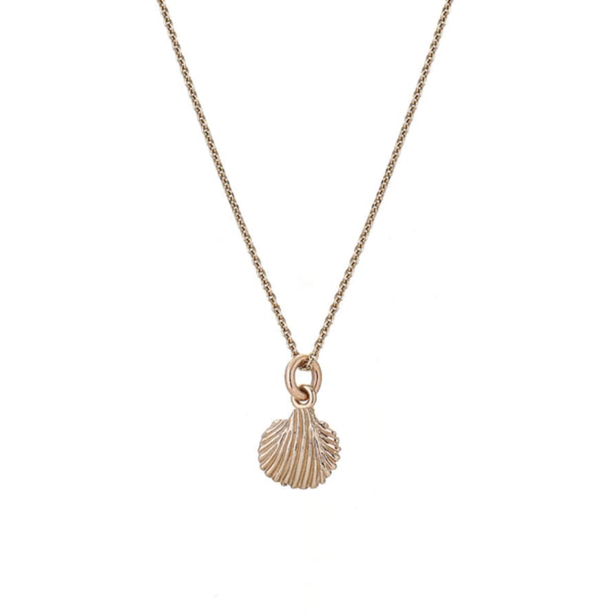 Renné Jewellery 9 Carat Trace Chain & Sea Shell