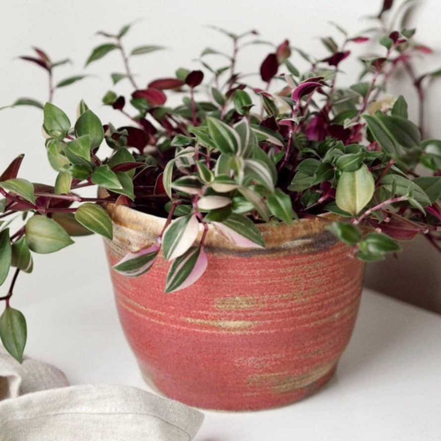 Charlotte Manser Ceramics 13cm Pink Uk Handmade Plant Pot