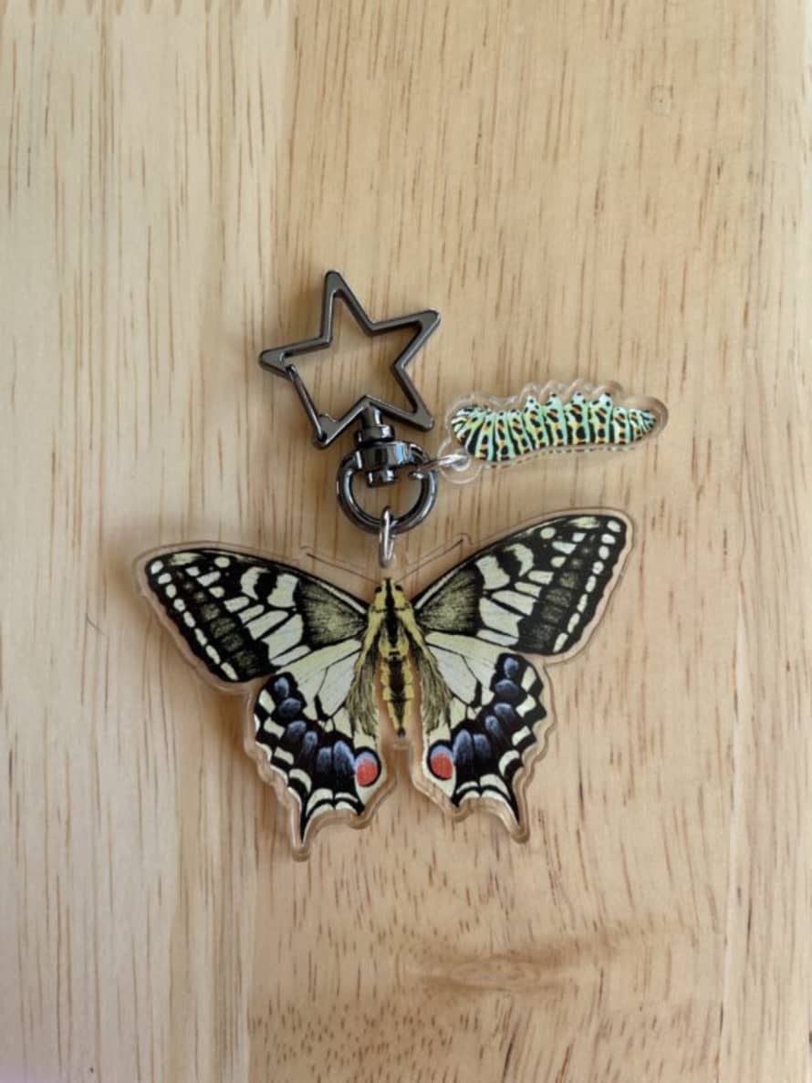 Ferne Creative Swallowtail Butterfly and Caterpillar Keyring 