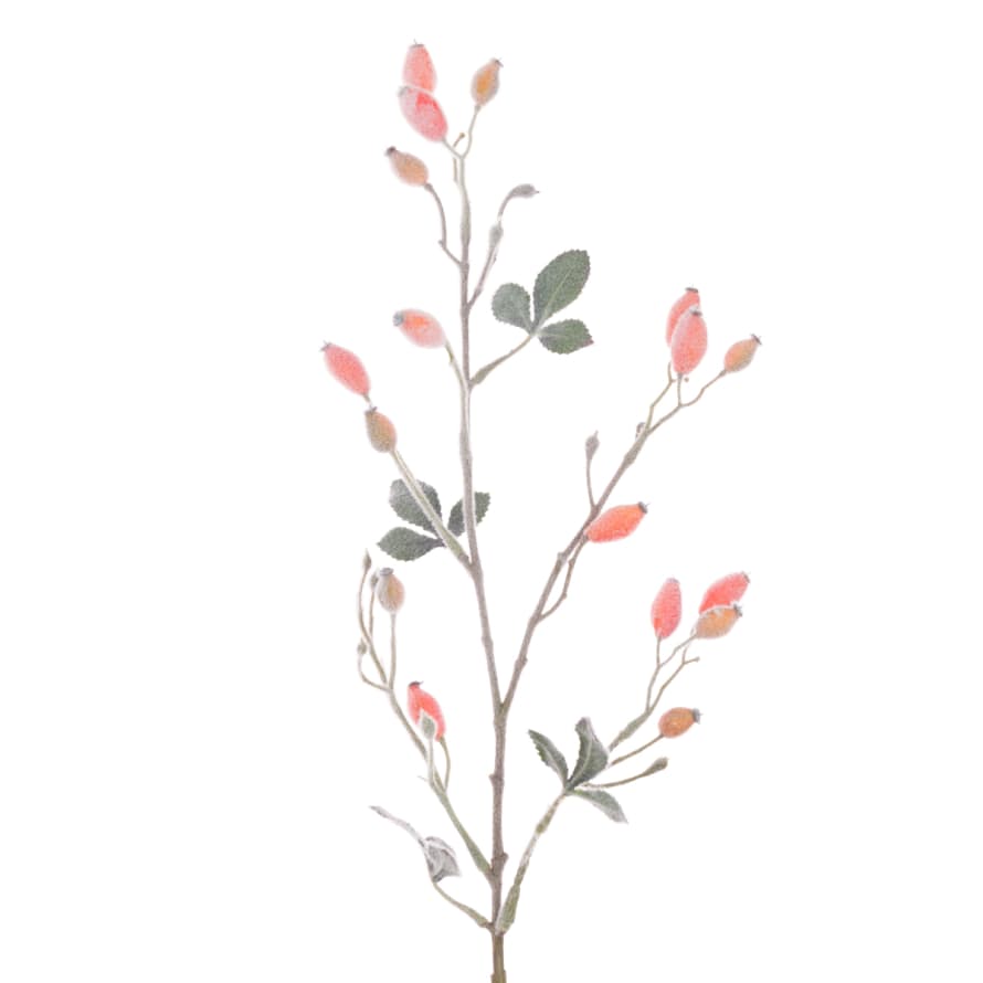 Floral Silk Frosted Rosehip Spray 79cm